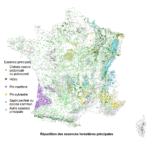 La diversité forestière en France