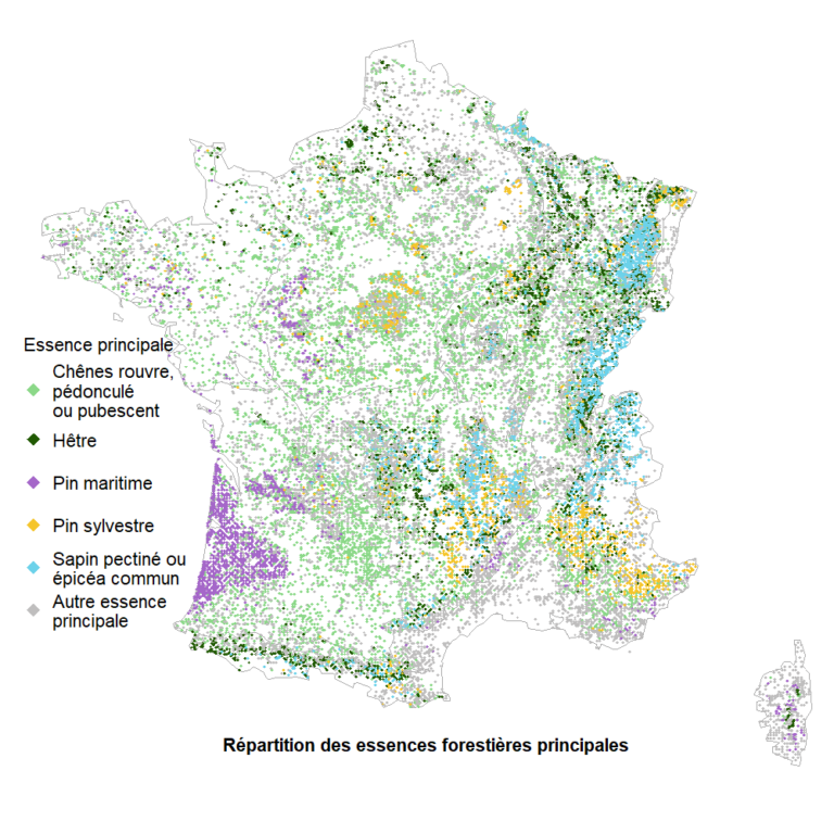 La ressource des bois en France APLG