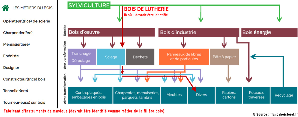 La filière bois et ses métiers